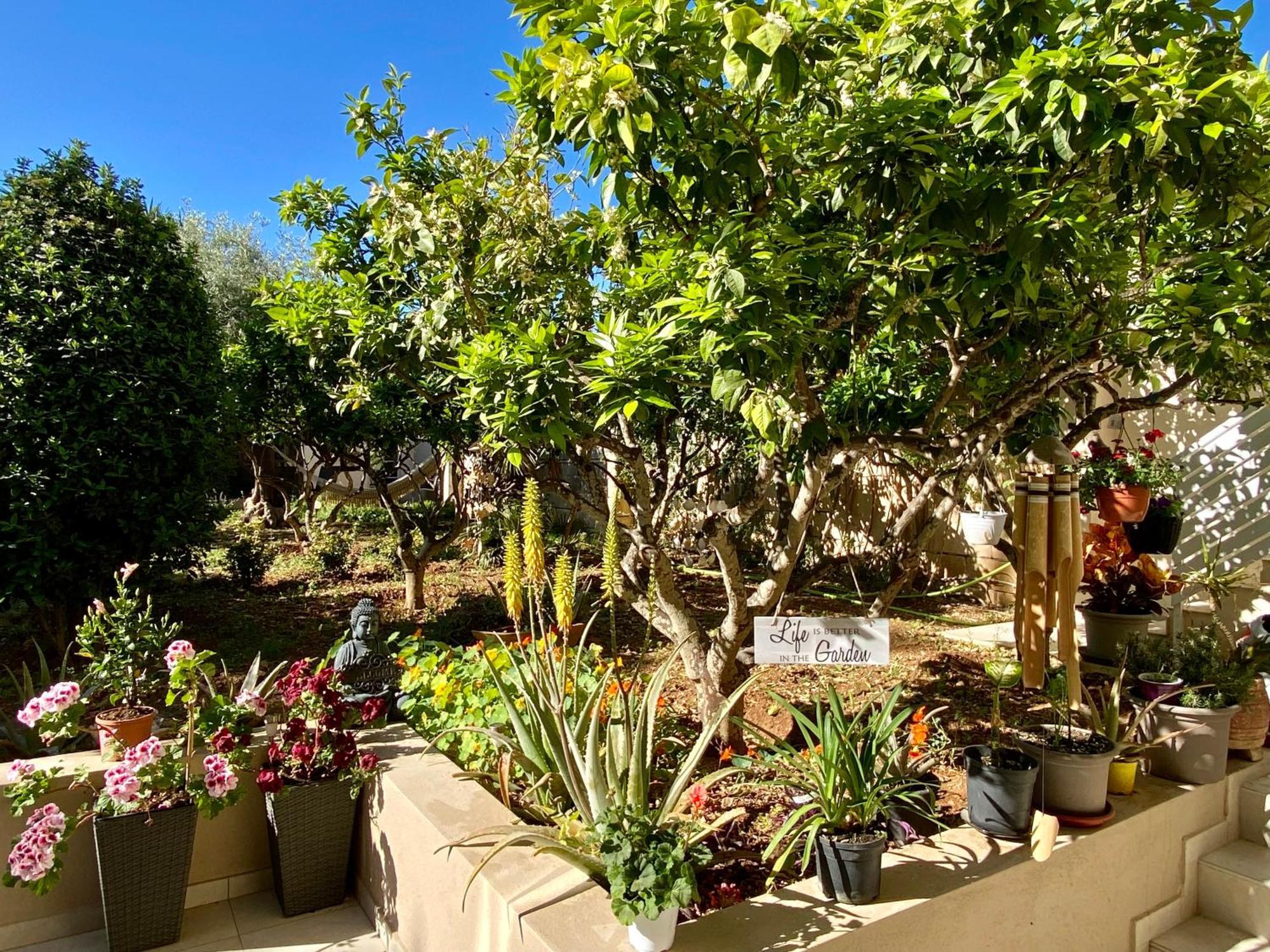 Maltese Garden Villa Mosta Exterior photo
