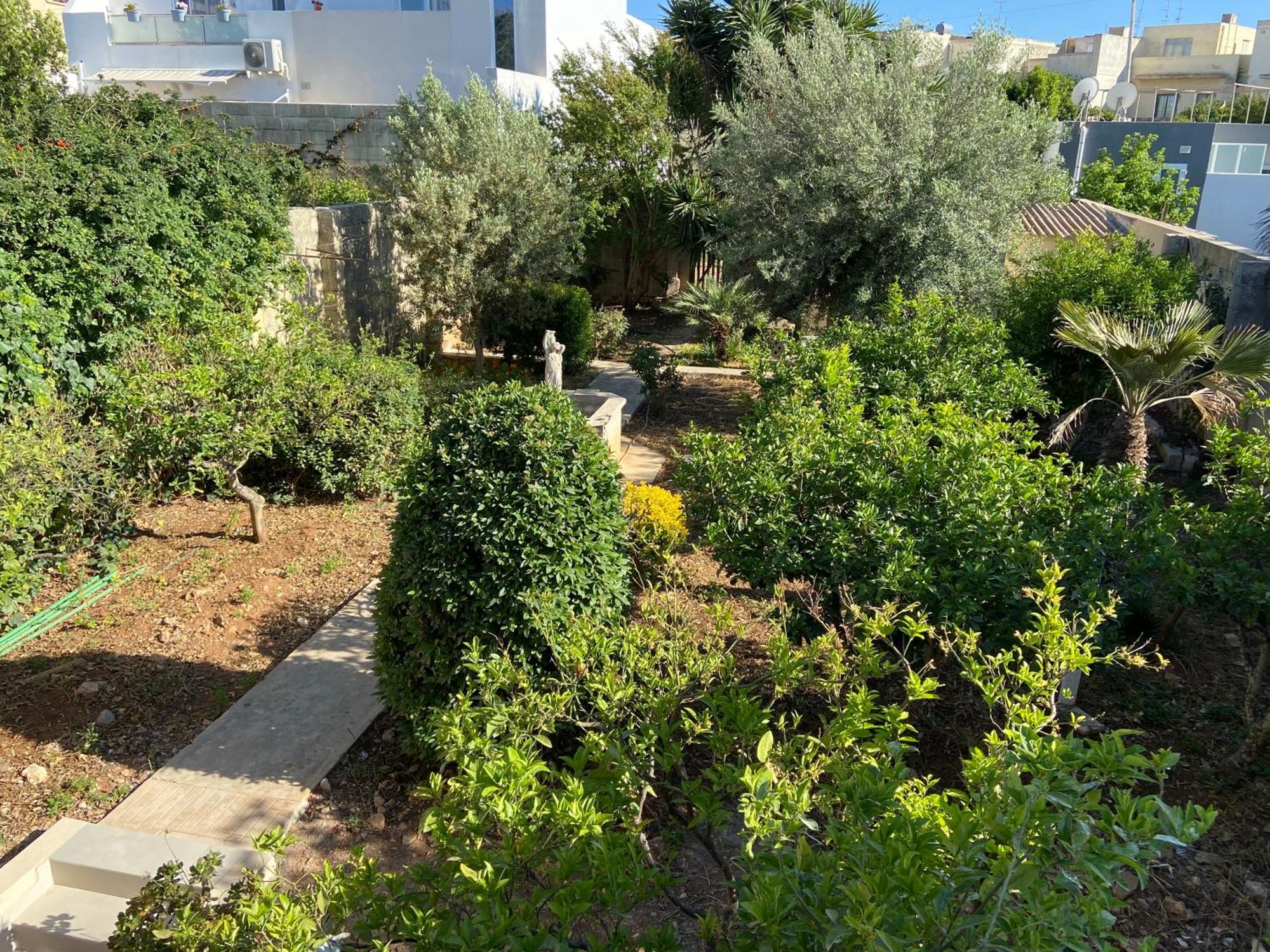 Maltese Garden Villa Mosta Exterior photo
